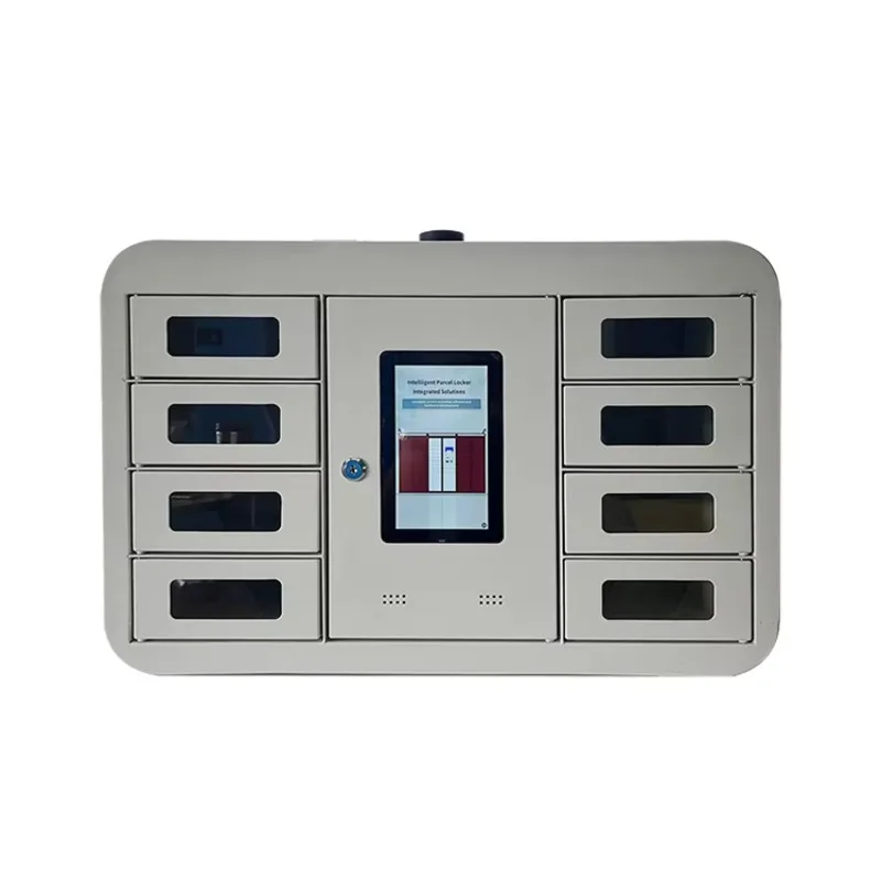 Custom Outdoor Rechargeable Smart Locker RFID Electronic Lock Waterproof Durable Insulated Cold Rolled Steel Assembled
