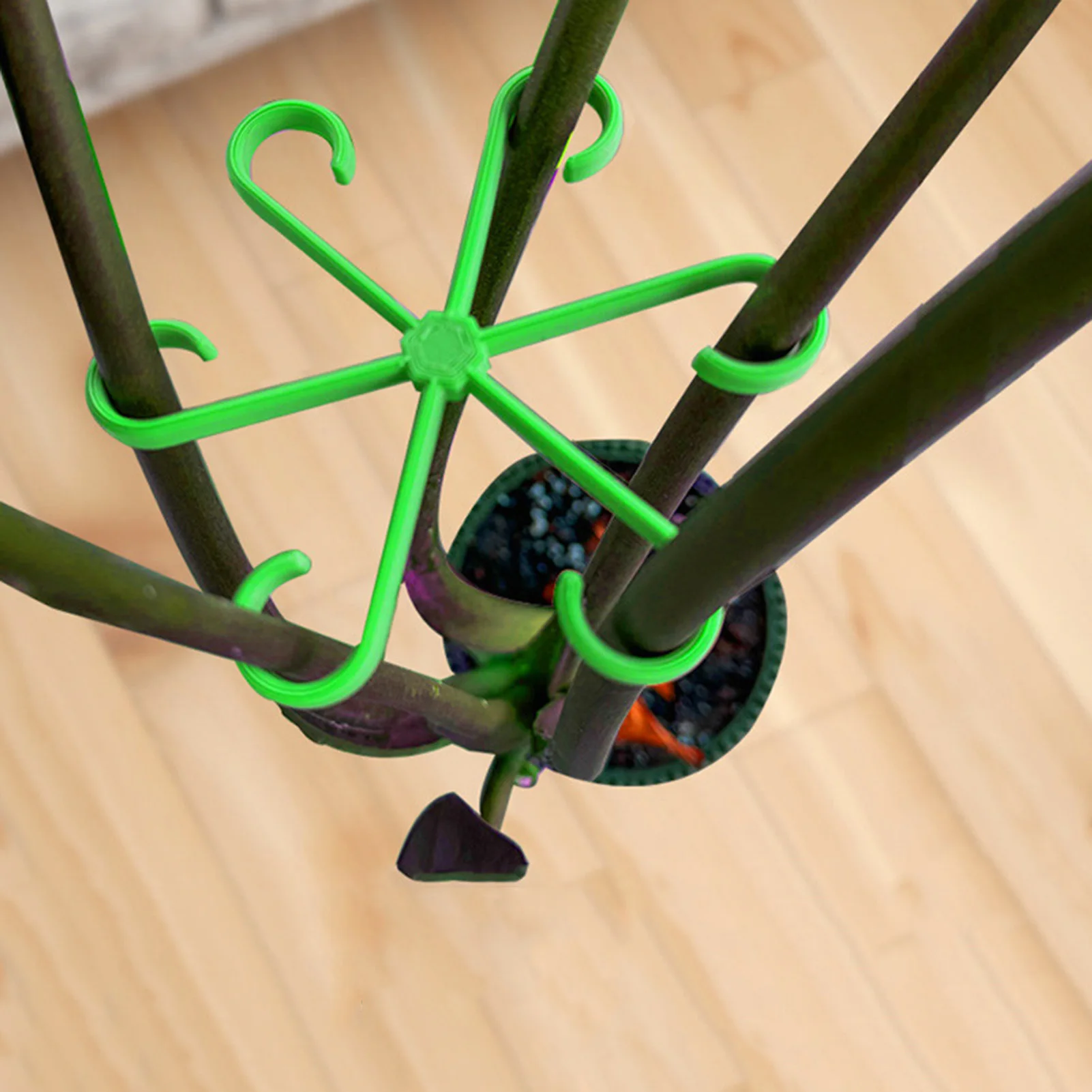Soporte de tallo de plantas, enrejado de plástico negro/rojo/verde, fácil instalación, enrejado de plantas de vid para plantas de interior y exterior, 4 Uds.