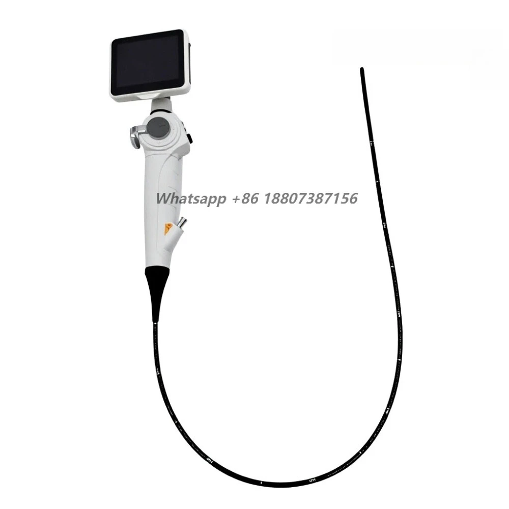Portable flexible video endoscopes with rotatable screens for  in hospitals and veterinary applications