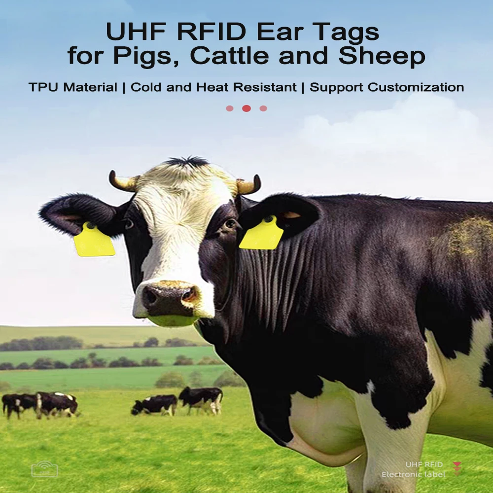 ป้ายแท็ก RFID UHF สำหรับสัตว์ ป้ายแท็กหูสำหรับสุกร โค แกะ และม้า ป้ายแท็ก RFID UHF ระยะไกลสำหรับการจัดการปศุสัตว์ 20 ชิ้น