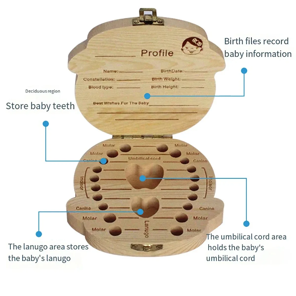 HOMFISH Wooden Baby Tooth Storage Box Kids Teeth Wood Box Organizer Commemorative Box Chirldren Collecting Umbilical Cord Storag