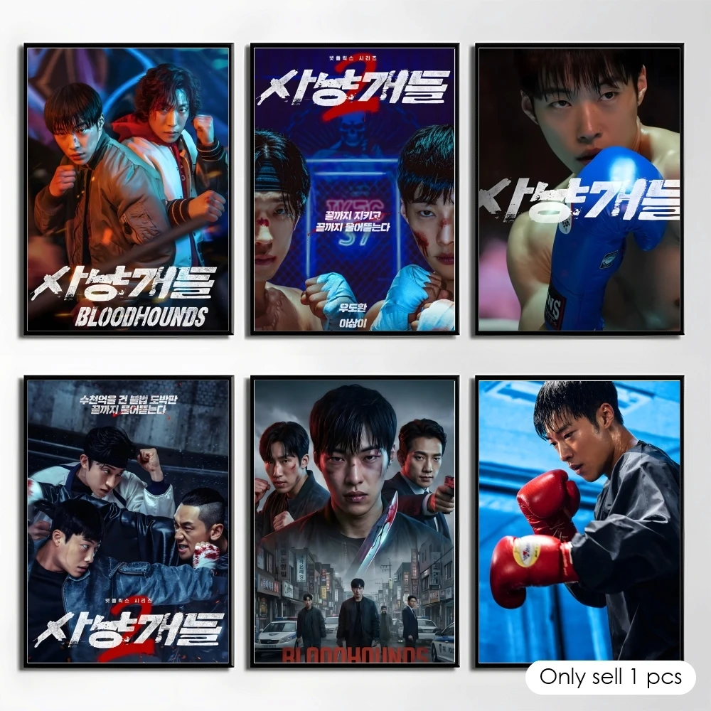 Kdrama Tv Series B-Bloodhounds Poster Elegant And Affordable Wall Art Stickers For Dormitory Living Room And Bedroom Spaces
