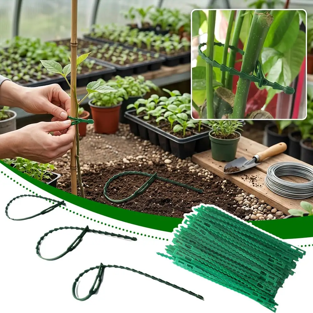 200pcs Adjustable Reusable Plant Cable Ties Garden Tree Climbing Vine Support Fastener for Tomato Stem Gardening Clip