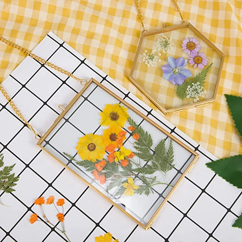 Dourado pendurado molduras de vidro com corrente, pressionado flores, DIY Artwork Display, 6 Packs