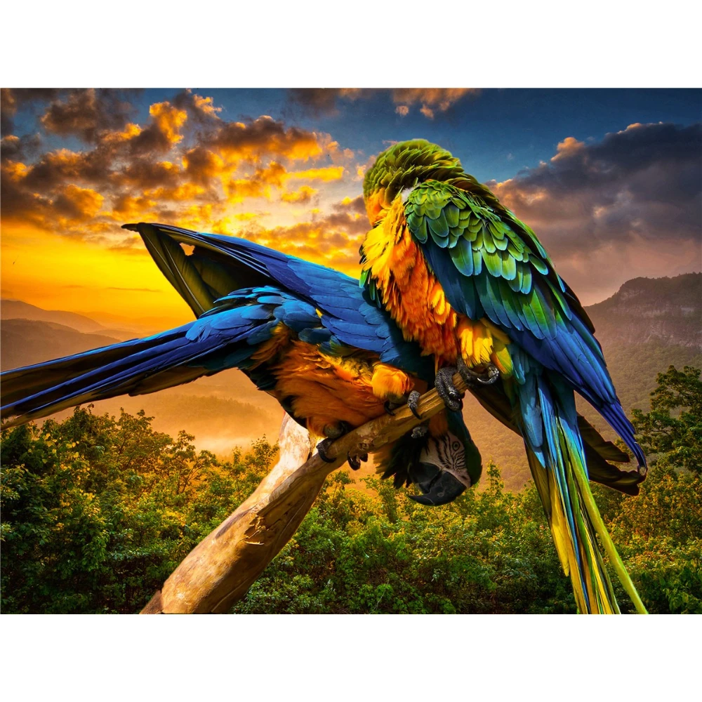 재미있는 동물 & 공룡 직소 퍼즐 500/1000/12 - Jigsaw Puzzle Adult 리뷰 및 가격