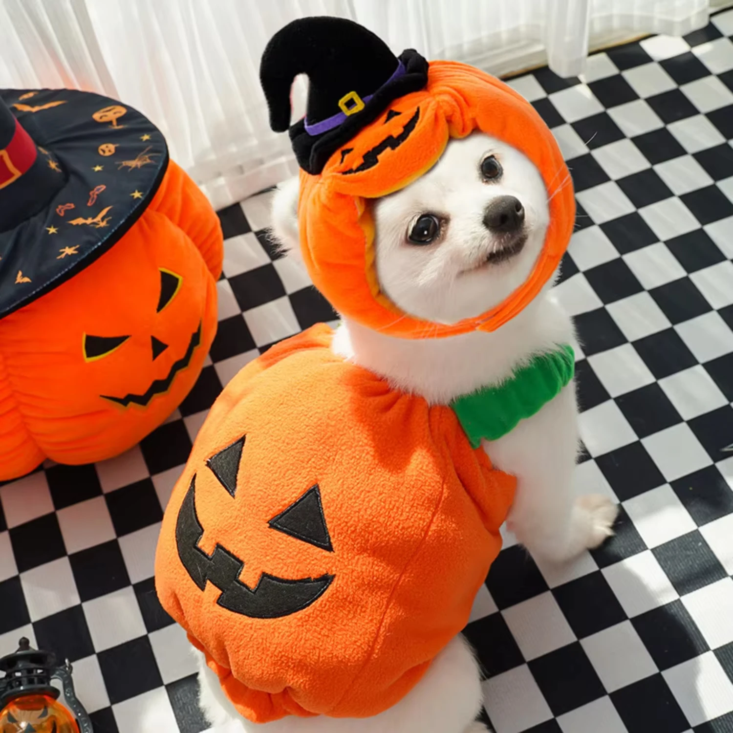 Autumn winter dog Halloween Christmas pumpkin lantern transformation outfit funny cat two legged pet Teddy Dog Clothes