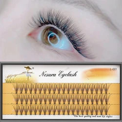 10D Mink Eyelash 1 Box/60 Bundles Natural Eyelash Extension 3D Russian individual Cluster Makeup Tool False eyelashes Wholesale