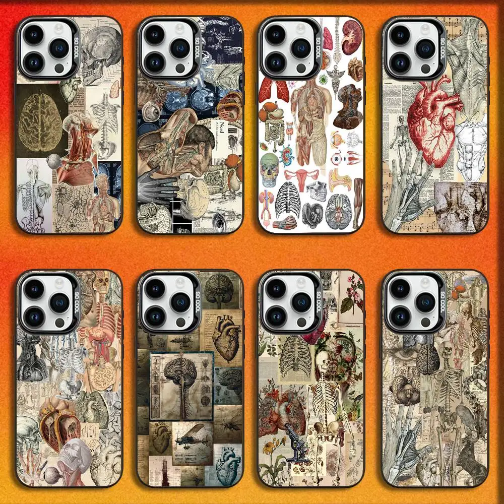 

Phone Case For iPhone 16,15,14,13,12,11,Mini,Pro,E,MAX Black Candy Matte Human Anatomy Biology Medicine Physiology Cover