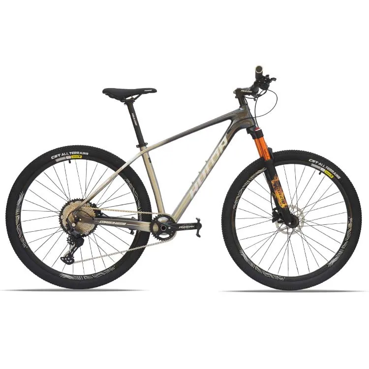 29 Inch 12 Speed Mountain Bike Carbon Fibre Frame for Adult Variable Speed Mountain Bicycle Racing Off Road Bikes