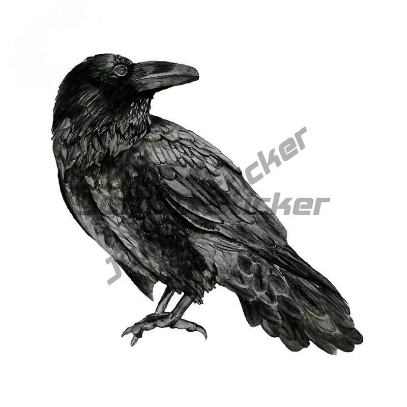 

For Raven Car Stickers Motorcycle Helmet Fine Waterproof Anime Creative Laptop Decal for VAN Decoration