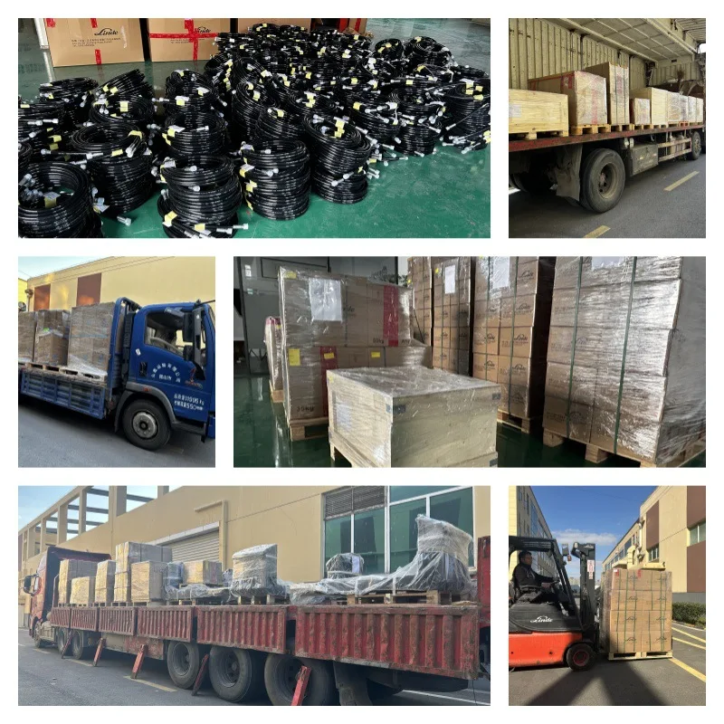 For Forklift DEUTZ2011 Timing Belt Assembly 02931480/0009609005