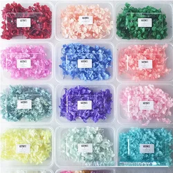 Caja de regalo de rebanada de cera de aromaterapia, Material de flor seca de planta Natural, resina epoxi, fabricación de colgantes de joyería, accesorios de flores DIY, 5g