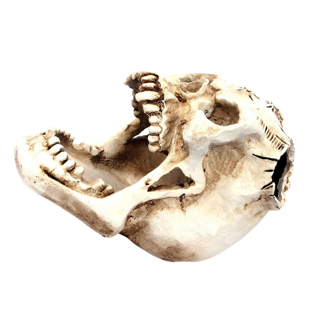 Skull Pen Holder Resin Desktop Organizer for Pencils Stationery Makeup Brushes Decorative Storage Pot