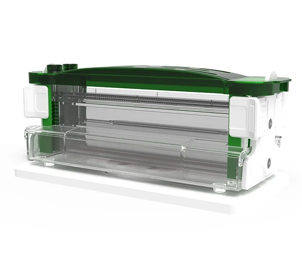 

Vertical Gel Electrophoresis Chamber Default Horizontal Gluing Electrophoresis Tank
