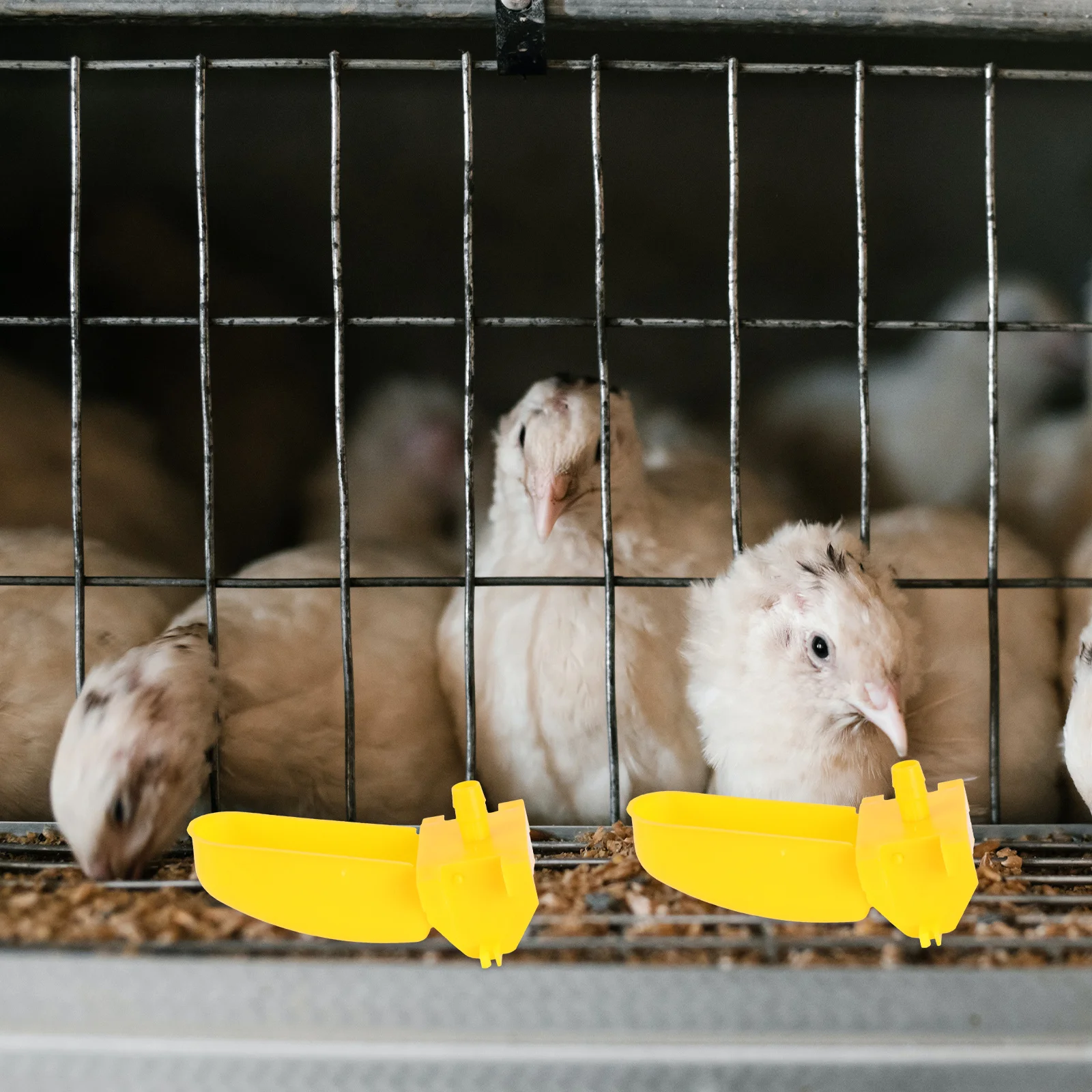 

10 set Double Hook Water Feeder For Poultry Pets Durable Leakproof Plastic Farming Accessories Pet Drinker Water Bowl