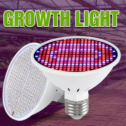 Luz Led de crecimiento para invernadero, lámpara Phyto de espectro completo, 85-265V, E27, 126, 200, 300Led, para cultivo hidropónico