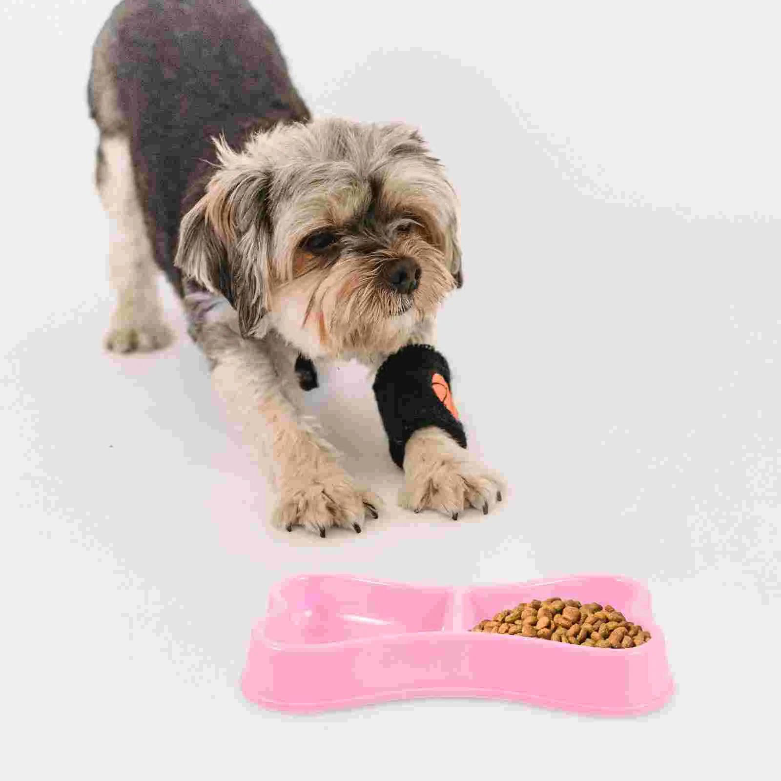 

Pet Food Feeding Dish Cat Bowl Pet Food Bowl Kitten Small Dogs Feeding Bowl cat feeder cat food bowl cat feeding holder