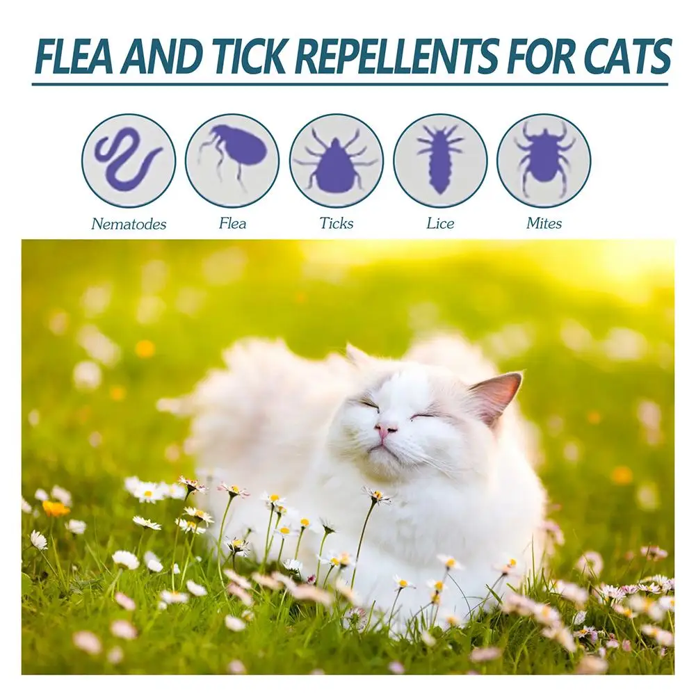 Flea Killer Drops Anti Fleas Cats Ticks Lice Mite Removal Dogs Relieve Pet Treatment Itching Drops Removal Ringworm G8R9