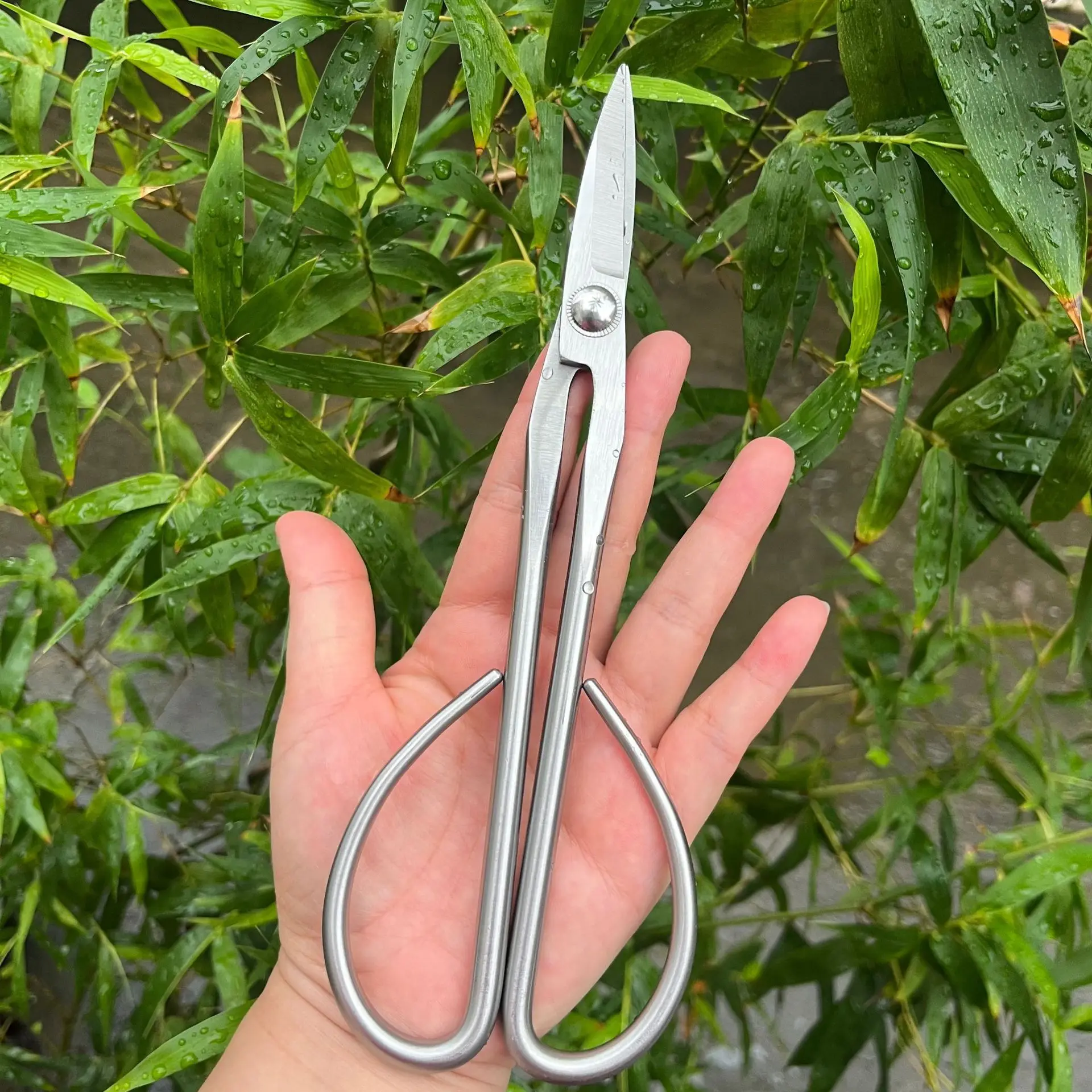 Tijeras de Acero para Jardín, Herramientas para Bonsái, Tijeras para Ramas, Tijeras de Jardinería de Acero Inoxidable Extendidas, Tijeras para Podar Capullos y Hojas Delicadas