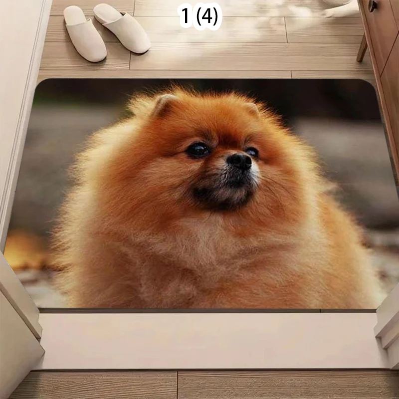 Adorable Pomeranian Door Mat Cute Animal Pattern Soft Non-Slip Entryway Rug for Front Door Living Room Hallway Floor Decor