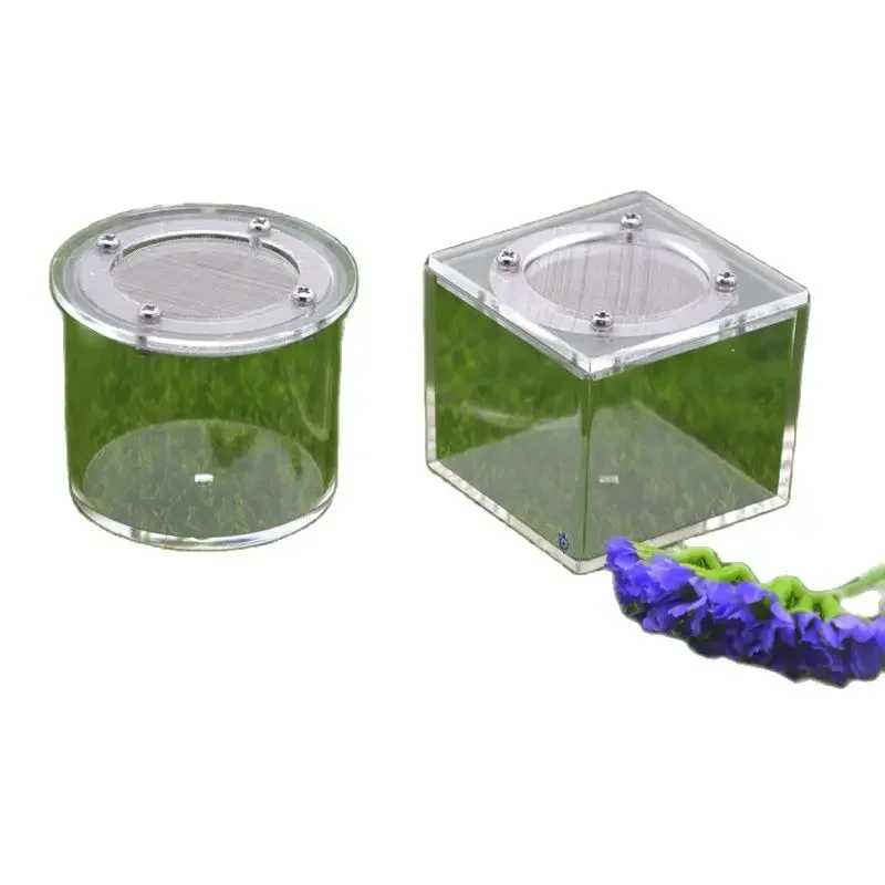 1PCS Acrylic Spider…