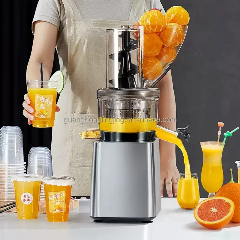 500W 750W 1200W Desktop Commercial Cold Press Juir Masticating Soft Juicy Fruits Carrot Slow Masticating Juir for Jui Bar