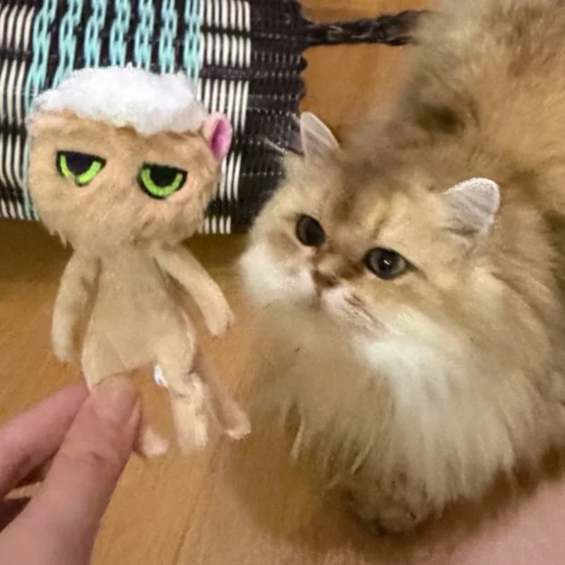 Qualia In Stock Japan Washed Cat Plush Keychain Cute Kawaii Animal Stuffed Toy Gashapon Bag Pendant Backpack Decoration Gifts