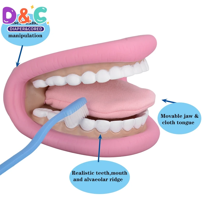 칫솔이 달린 입 손 인형, 어린이 입 손 인형, 말하기 개선용 칫솔이 달린 28 개의 치아 혀