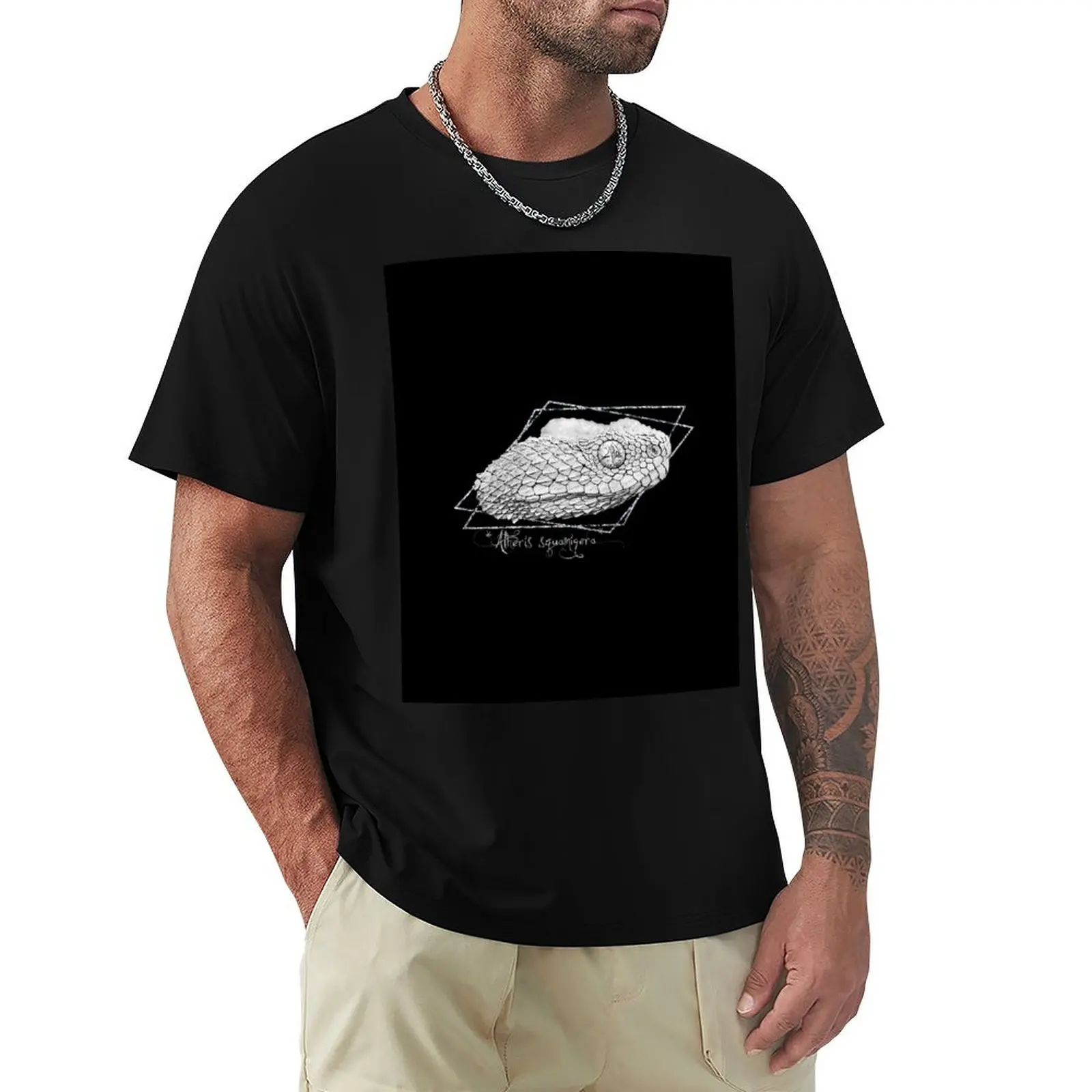 African/Variable Bush Viper (Atheris squamigera) Design T-Shirt Basic All Season Solid T-Shirt
