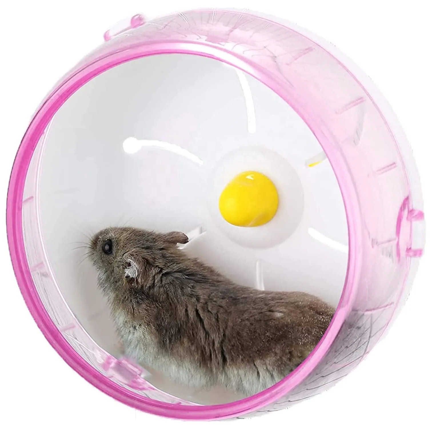 

Silent Hamster Exercise Wheels Premium PP Material Hamsters Running Wheel