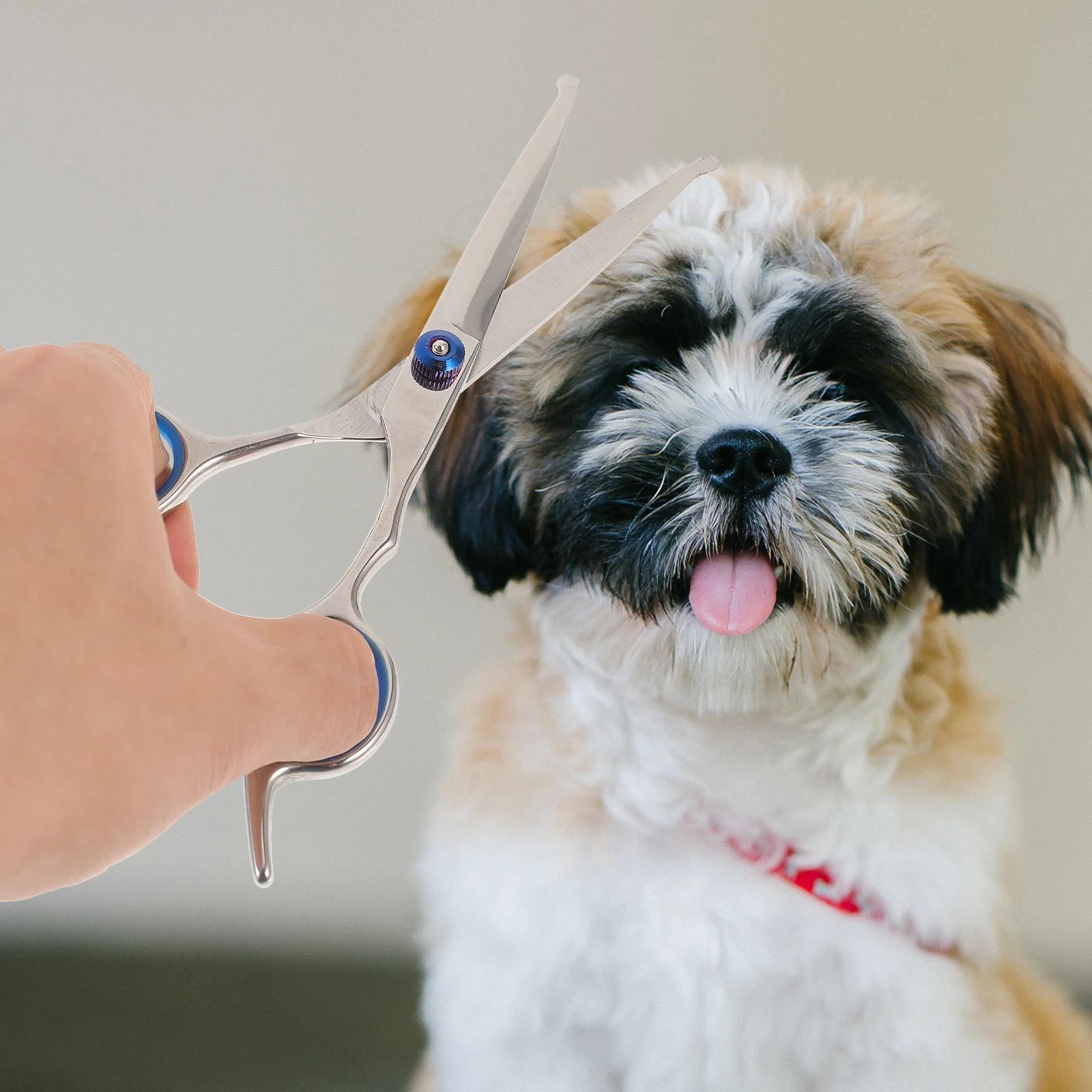 

2pcs 4.5 Inches Pet Hair Scissors Stainless Steel Round Head Shears For Home Pet Grooming Professional Hairdressing Trimmer Tool