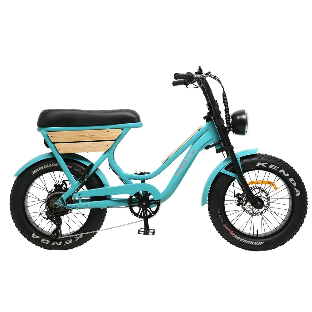 

TXED Unique Fat Tire Out Gear 7-speed 48V/15.6AH Lithium Battery Electric Motorcycle Style Bicycle with Heating Grip Ebike