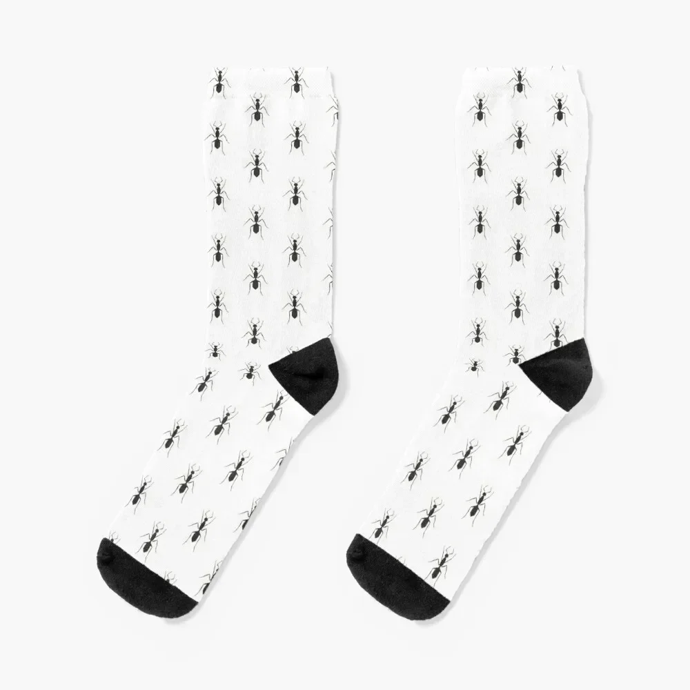 

Ants. Hand drawn illustration. Socks Men's essential cotton Argentina Socks Women's Men's