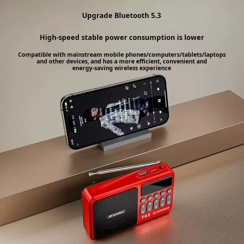 SANSUI F65 Portable FM Radio MP3 Walkman TF/USB Bluetooth Wireless