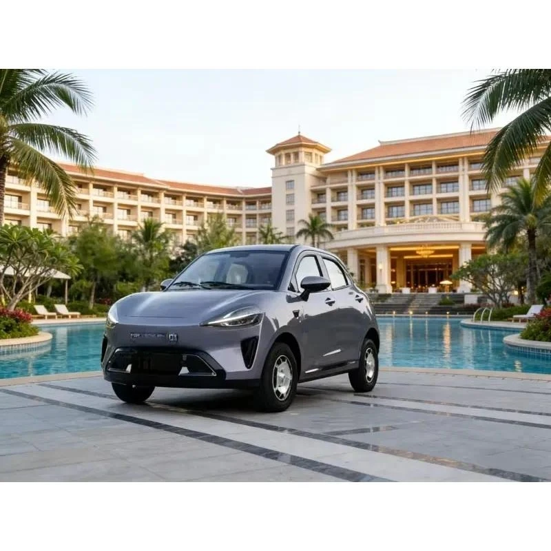 3000W Low Speed Electric Vehicle 4 Wheel New Energy Car 70-90kWh Battery 100-500km Range Affordable Micro EV