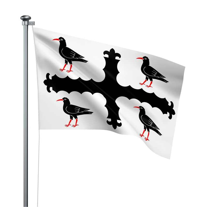 Gaslight Gatekeep Girlboss 5' x 3' Flintshire Wales Flag Banner Polyester with Brass Grommets 150cm x 90cm
