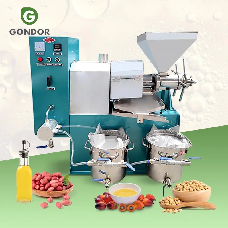 High Quality Virgin Coconut Peanut Soya Bean Cooking Oil Pressing Make Machine in South Africa