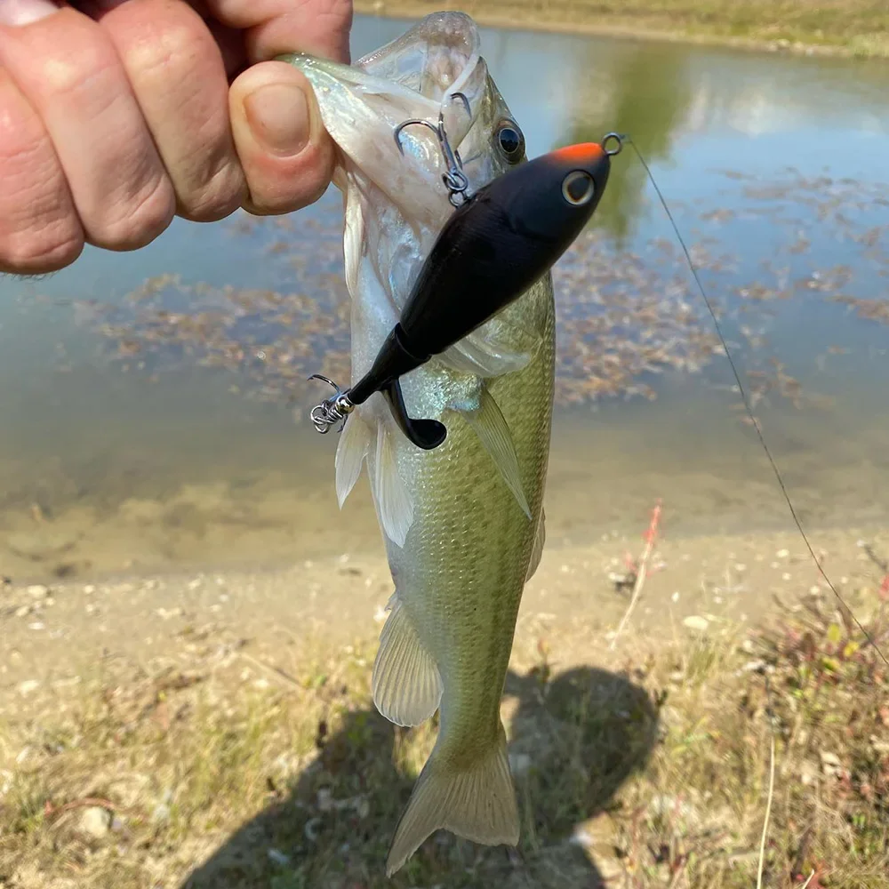 Propeller Topwater Lure 4