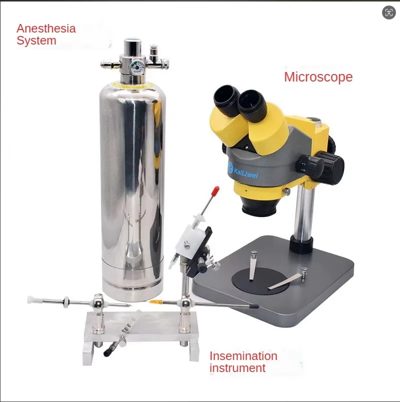 

Artificial Insemination Kit Bee Instrument