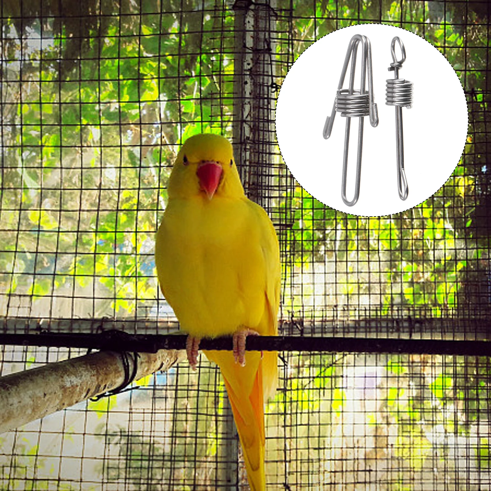 

Parrot Anklet Stainless Steel Chain Anklets Open Foot Buckle Metal Bird Macaw Cockatiel Silver