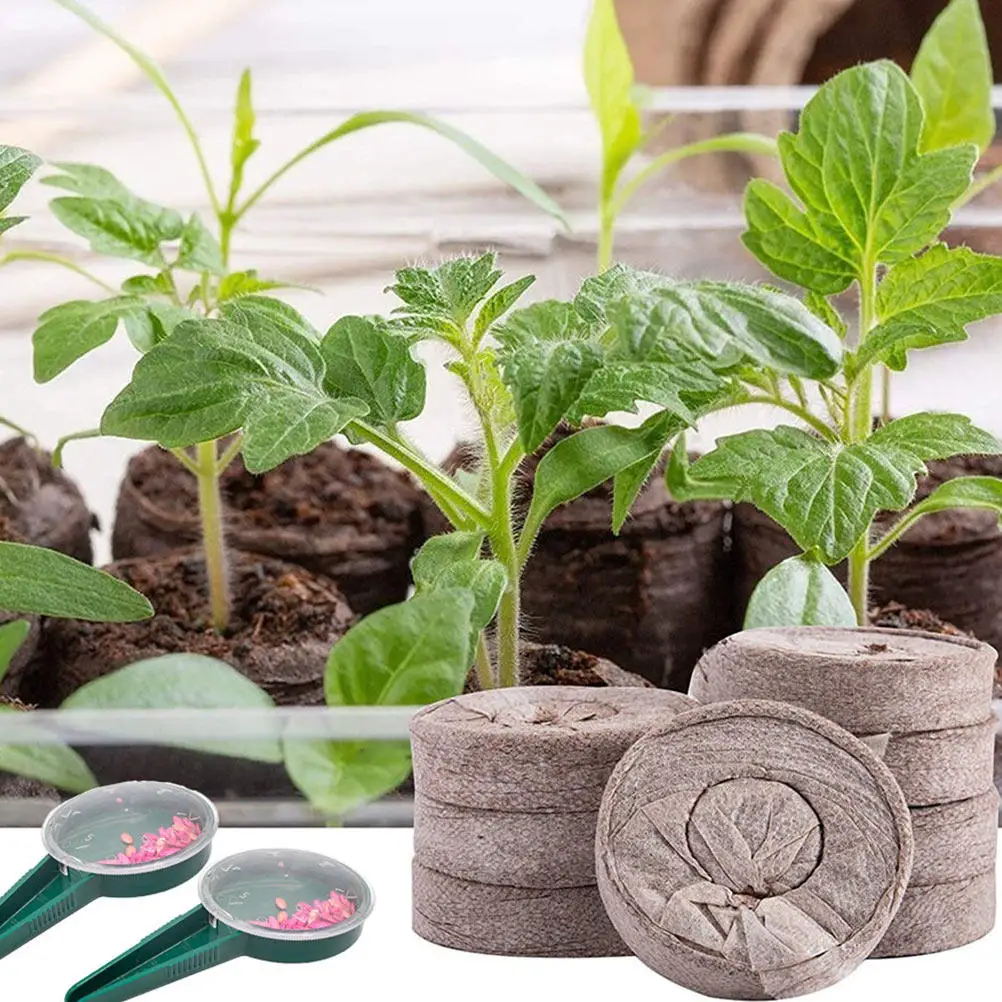 1Set Nursery Nutrient Soil Peat Pellets Plant Fiber Degradable Peat Pellets for Vegetable Flower Transplanting Gardening