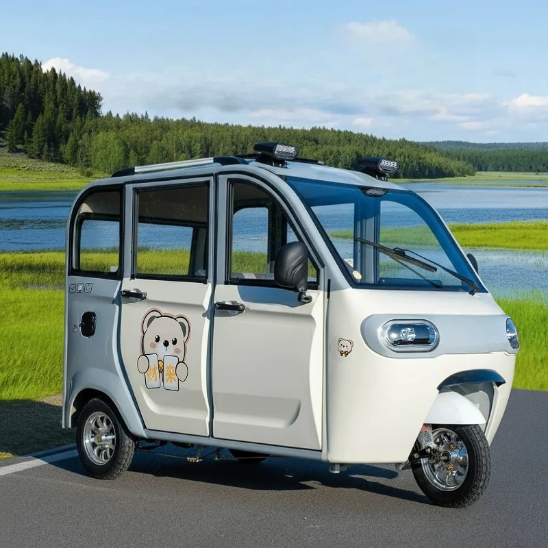Fully enclosed electric tricycle household small women new energy with shed elderly battery car old man Le scooter
