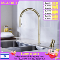 Brushed Gold Kitchen Faucet Invisible Pull Out Spray Mixer Double Hole Single Handle Solid Brass Hot and Cold Separate Sink Tap