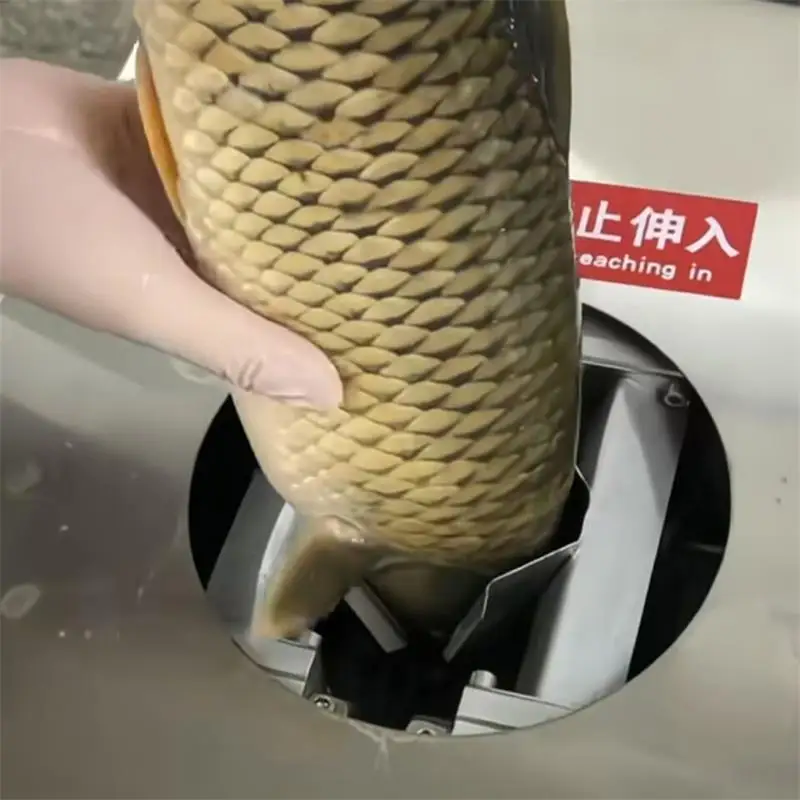 Automatic Fish Scale Processing Machine Commercial Fish Killing Machine Open Fish Belly Back Remove Scales Fish Gutting Machine