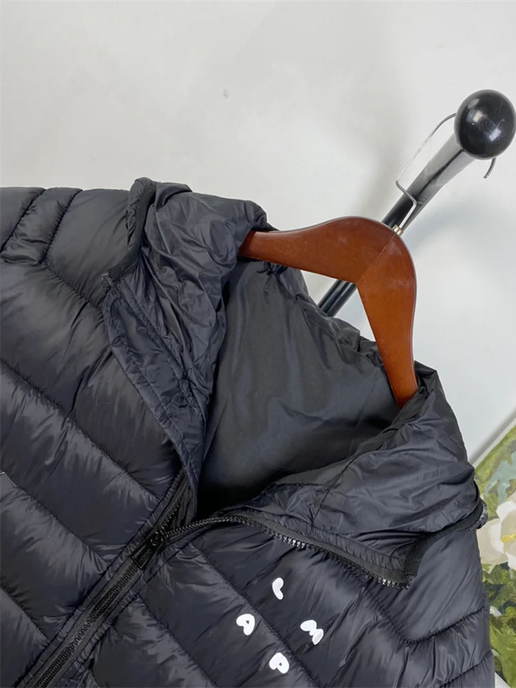 Jaet de algodón con capucha para mujer, ropa de algodón de talla pequeña, versión coreana, otoño e invierno