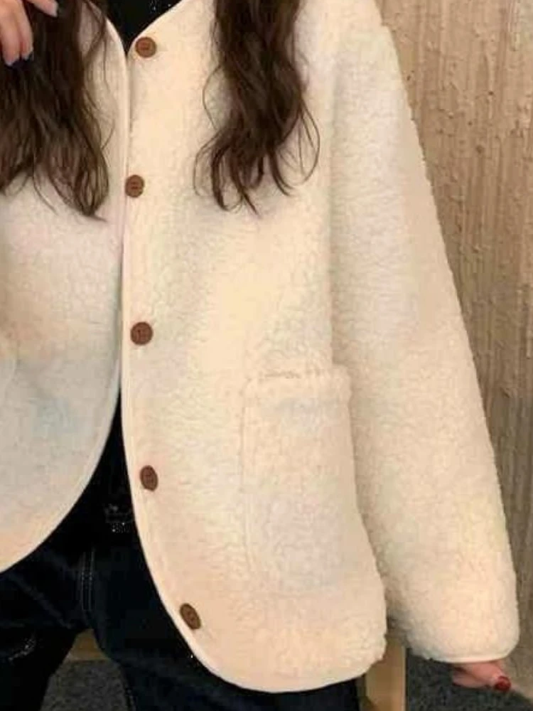 2024 Autumn Winter New Imitation Lamb Wool Thick Coat Small Fluffy Sweater for Warmth Age Reduction Slimming Casual Top Women