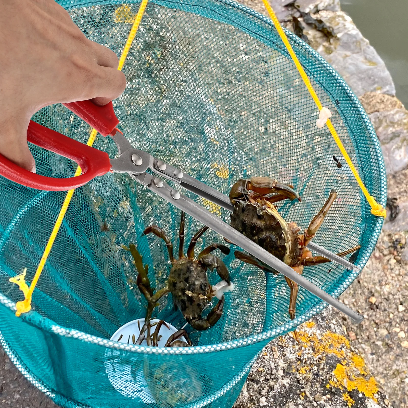 

Fish Catching Tools Metal Tongs Grips Fishing Gear Grabber Stainless Steel Grippers Seafood Crab Pot Clip