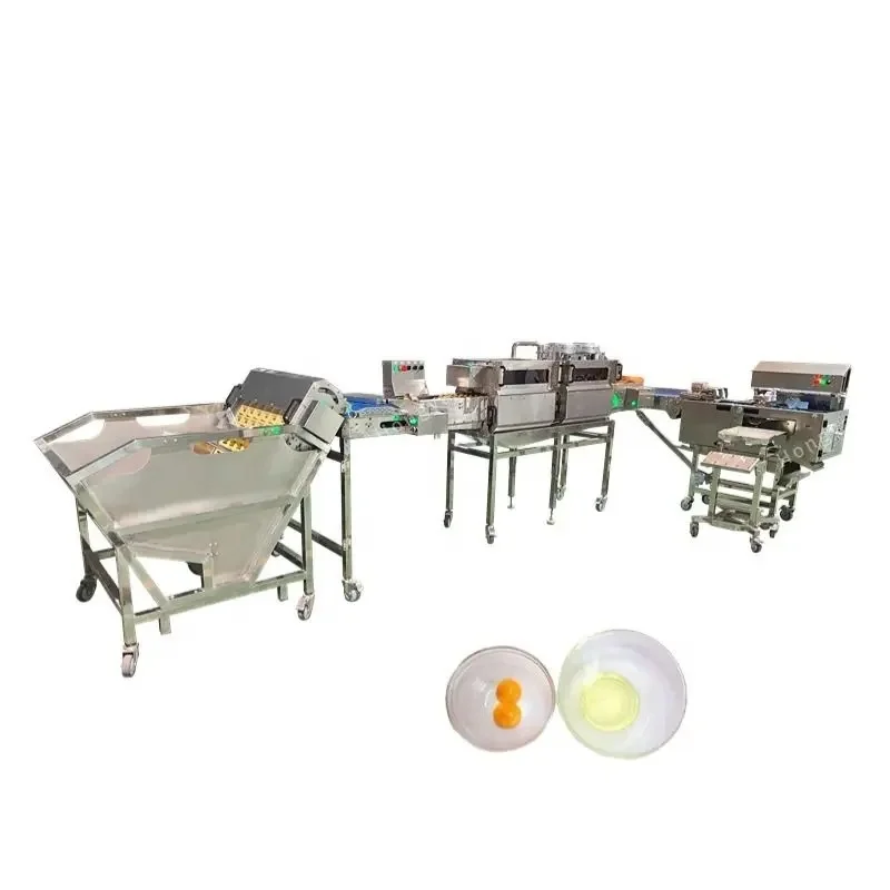 Egg Washing Machine with Waste Water Filter Egg Washer for Medium Farm Keep Eggs Clean for Sale