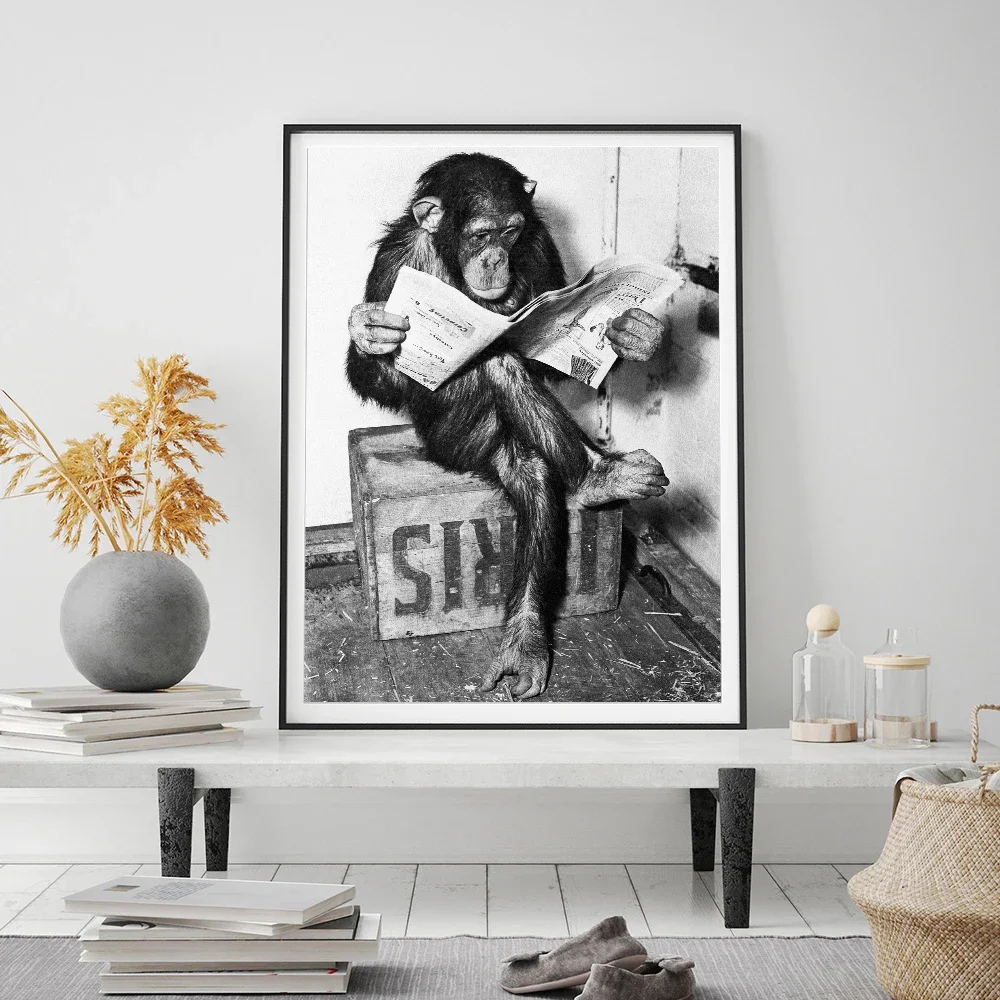 Black White Funny Monkey Read Newspaper Play Chess Poster and Print North Wall Art Canvas Painting Picture Toilet WC Home Decor