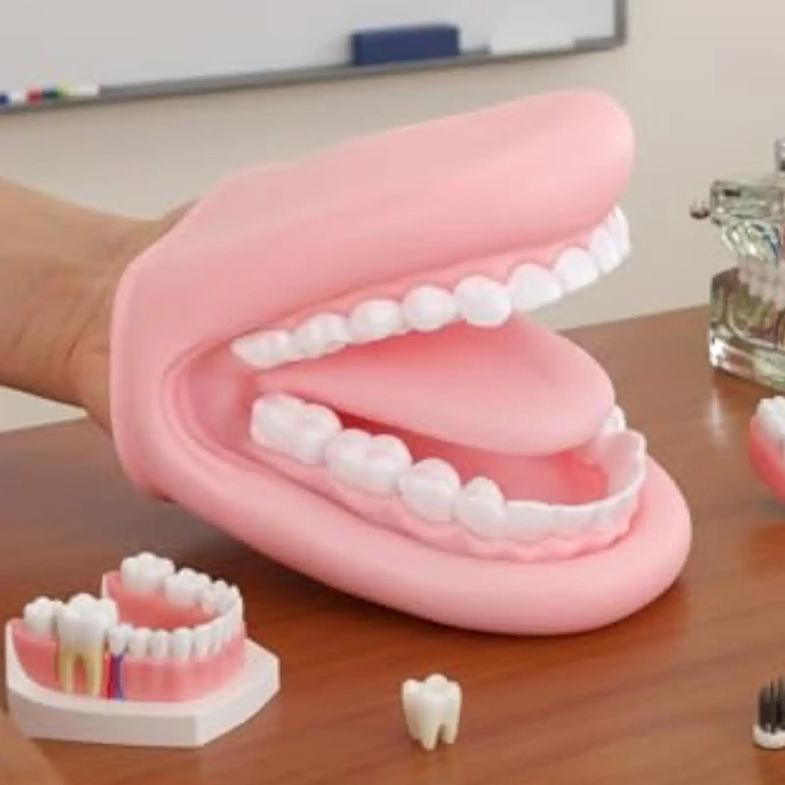 أطفال دمى اليد البلاستيكية المنقولة نموذج طب الأسنان لعبة تعليمية دمية الاصبع للأطفال المنزل السفر مدرسة رياض الأطفال